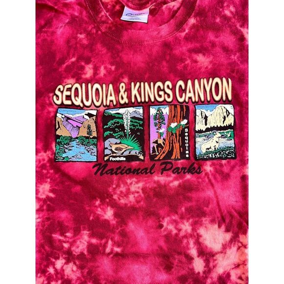 Vintage Sequioa & Kings Canyon Bleached Tee - Picture 3 of 4